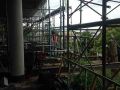 Construction Scaffolding - St Peter's College, Auckland
